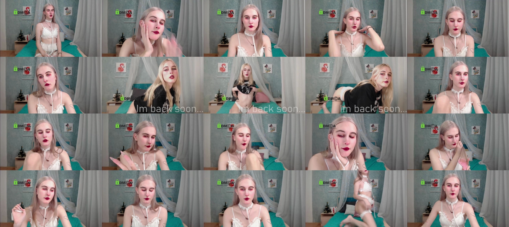 cristinewi  24-12-2021